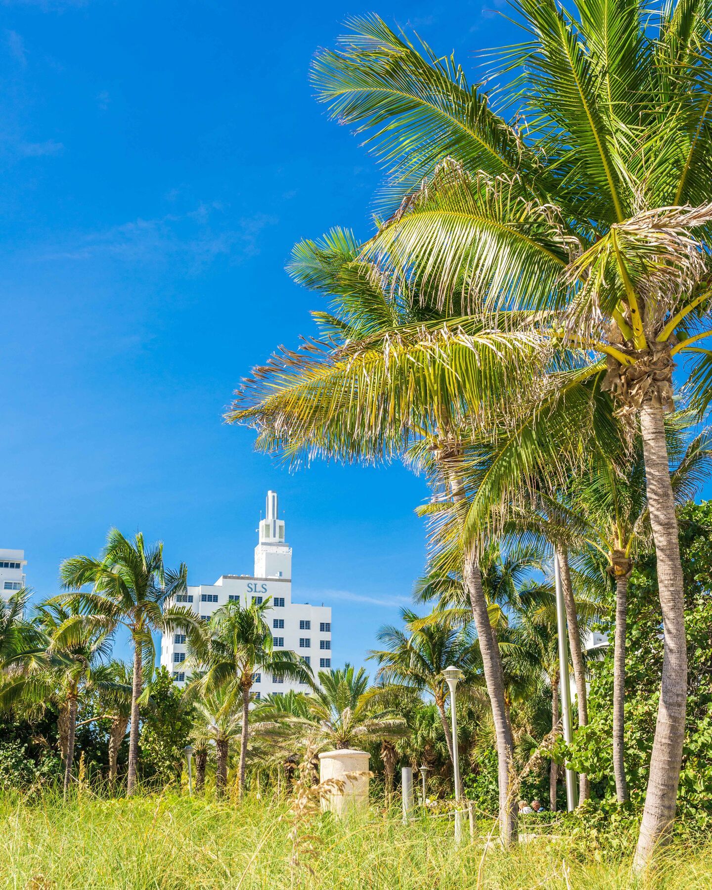 Sls South Beach (Adults Only) Miami Beach Ngoại thất bức ảnh
